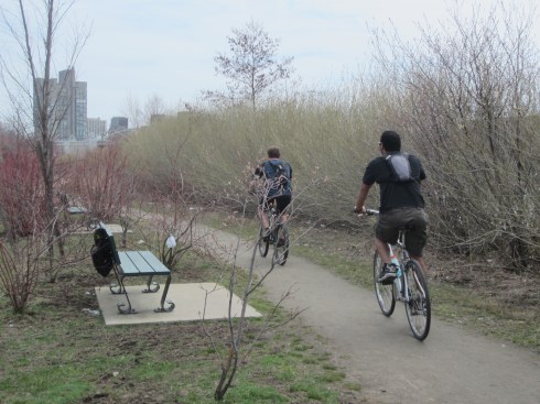 A wall of vegetation that blocks all visual access to the river. (I took this photo last week before the cleanup. Thank goodness for the cleanup. The biggest complaint about Magazine Beach is the trash that is everywhere. Since there are no trash cans at the park, it is already filling with litter.)