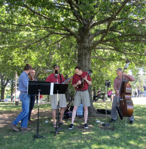 Bluegrass by Best Ever Chicken!