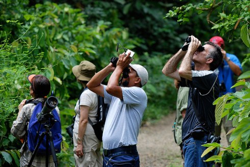 Save the Date! Saturday, Sept. 7th for birdwatching and foraging at Magazine Beach. (See previous post for further information.)