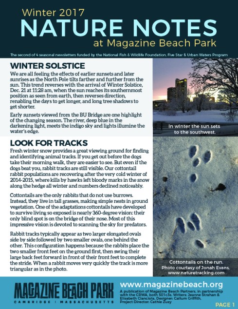 MB Winter Newsletter FINAL 72 ppi-01