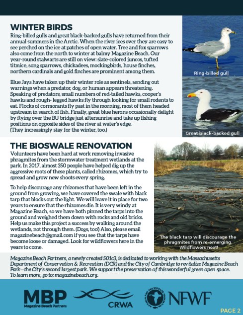 MB Winter Newsletter FINAL 72 ppi-02