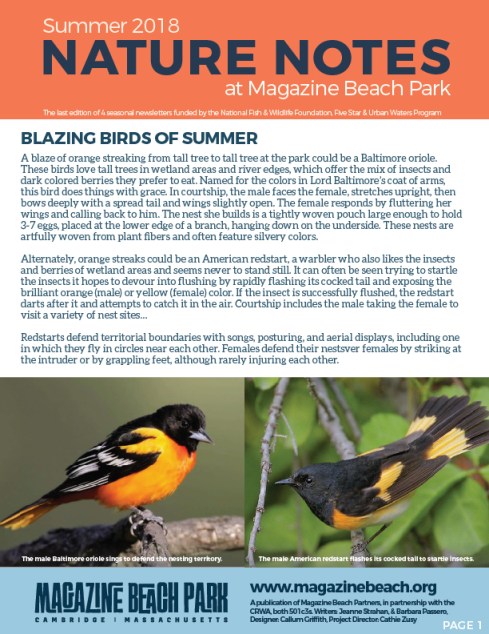 LOW RES MB Summer Newsletter-01