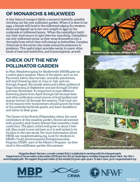 LOW RES MB Summer Newsletter-02